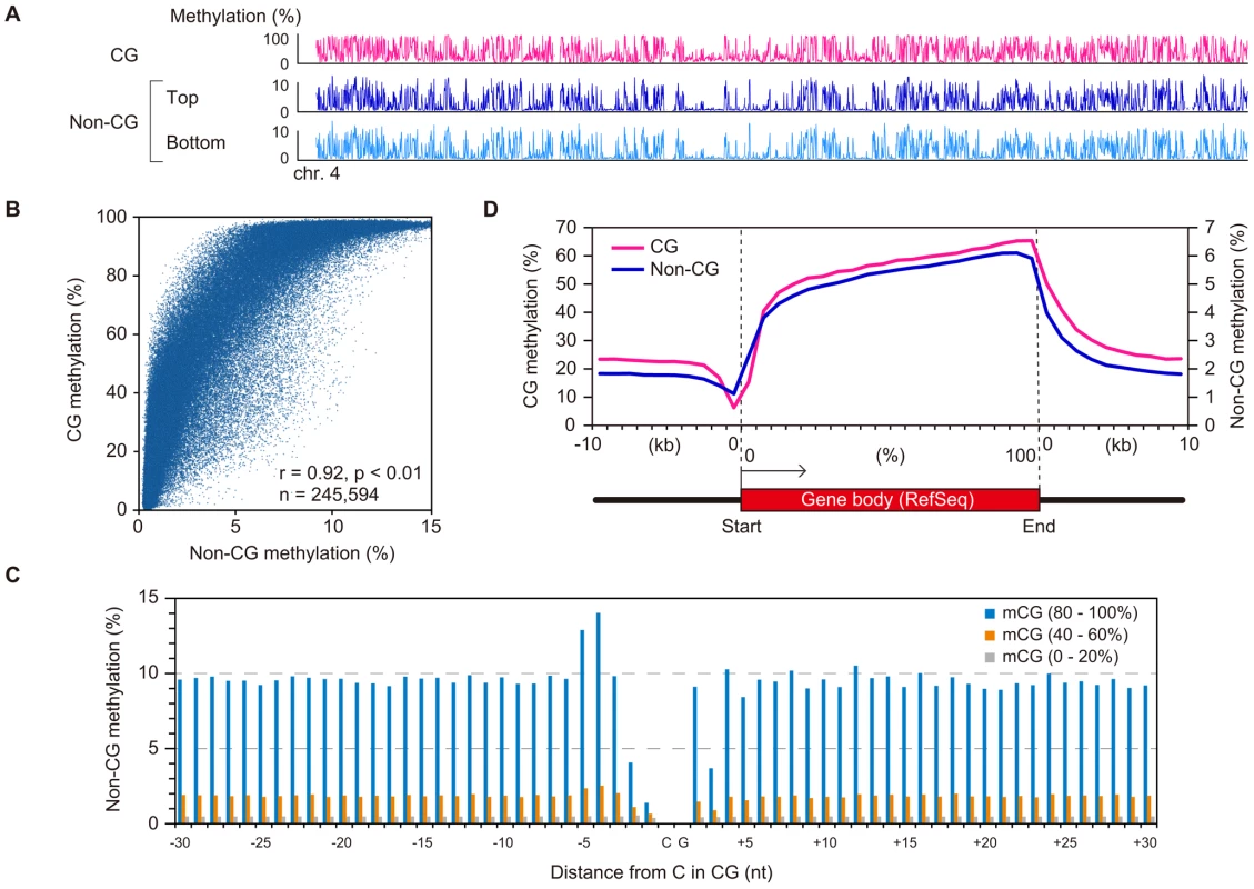 Relationship between CG methylation and non-CG methylation in GVOs.