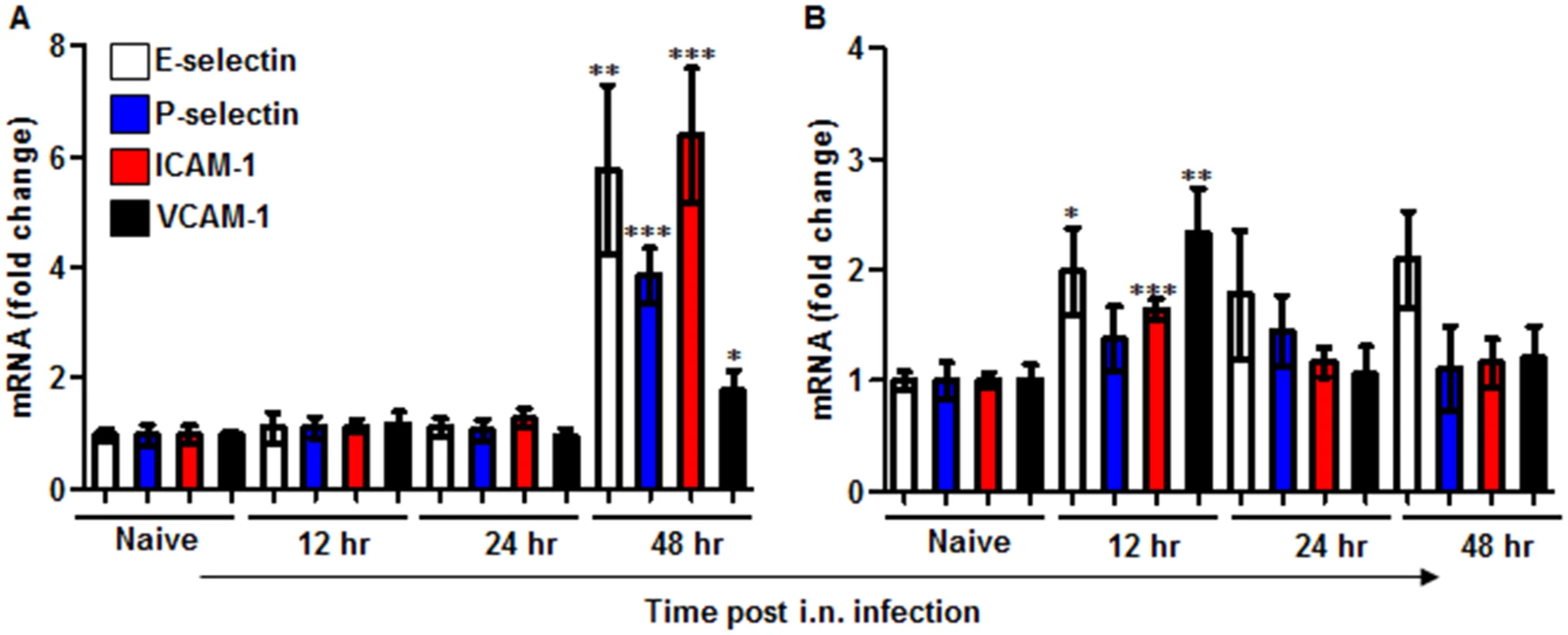 Expression of adhesion molecules in the lungs of mice infected i.n. with <i>Y</i>. <i>pestis</i> strains.