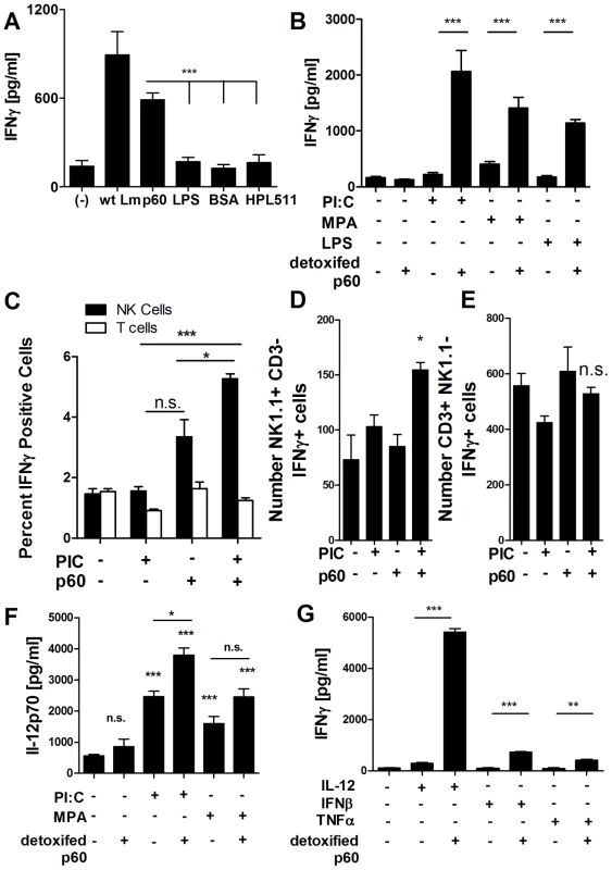 Primed DCs activate naïve NK cells when treated with purified p60 protein.