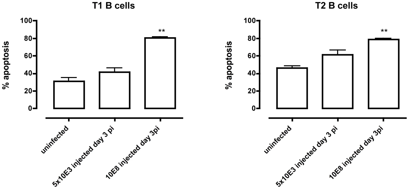 Apoptosis of transitional B cells <i>in vivo.</i>