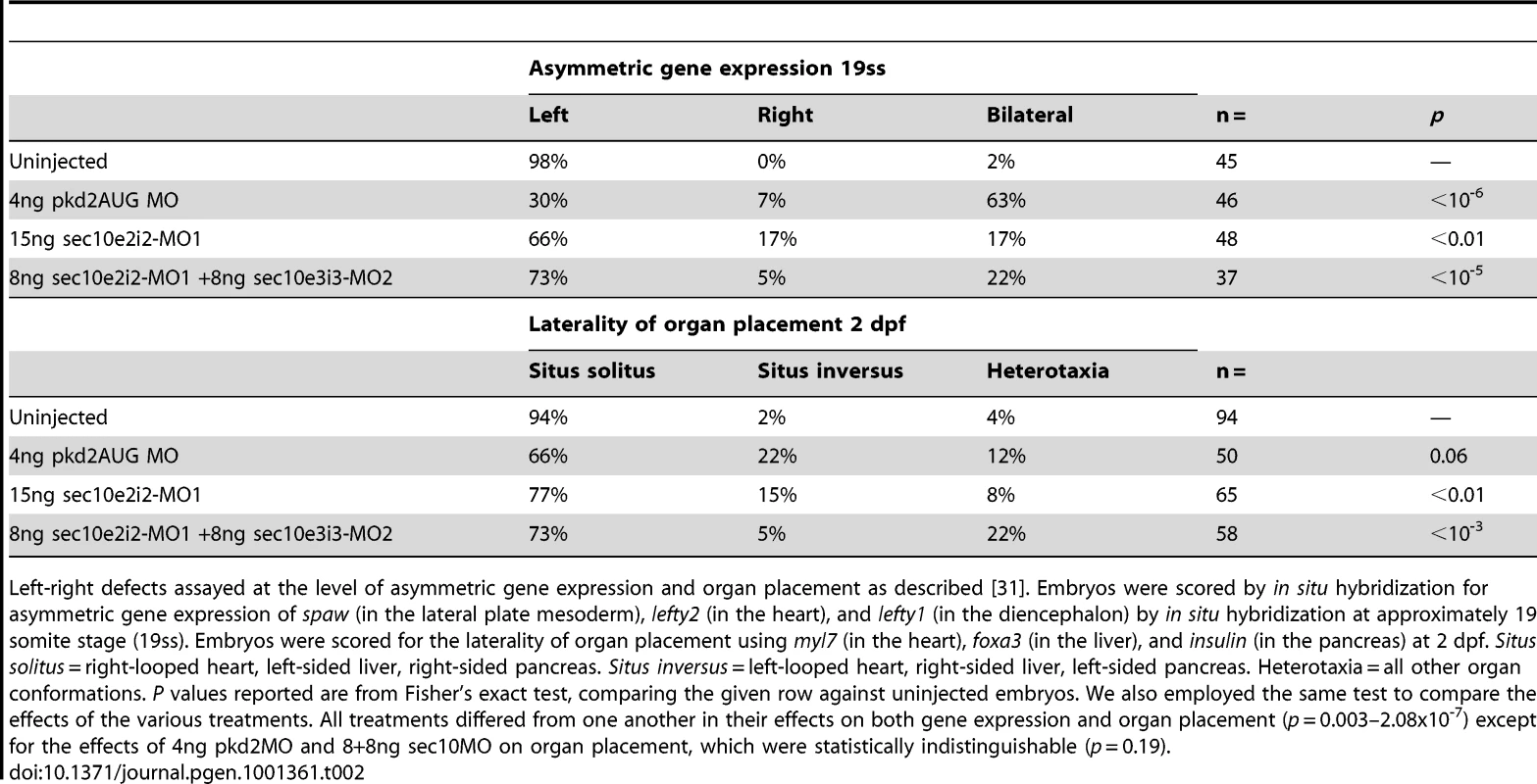 Left-right defects in sec10MO embryos.