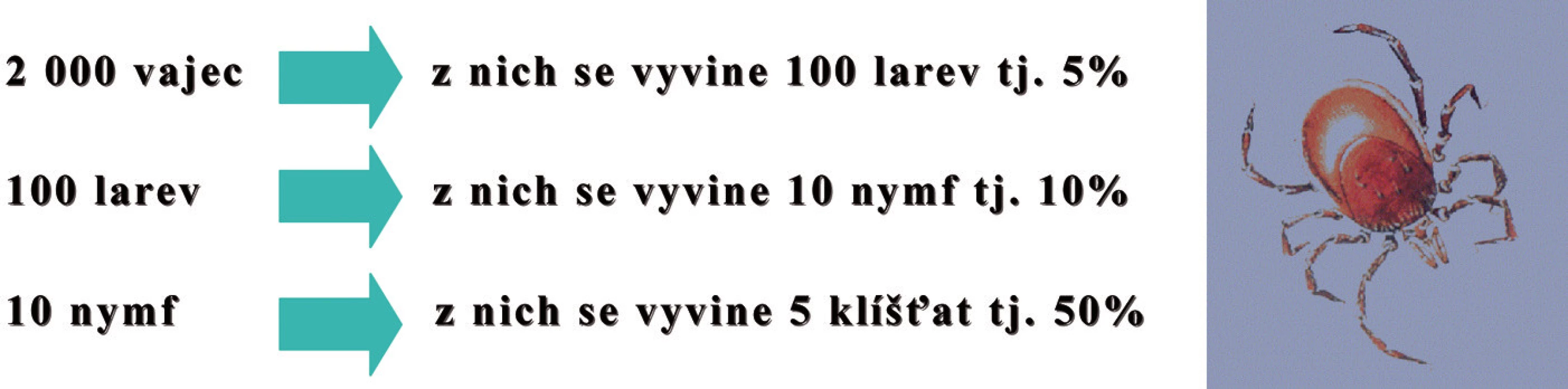 Vývojová stádia klíšťat a jejich úhyn během vývoje