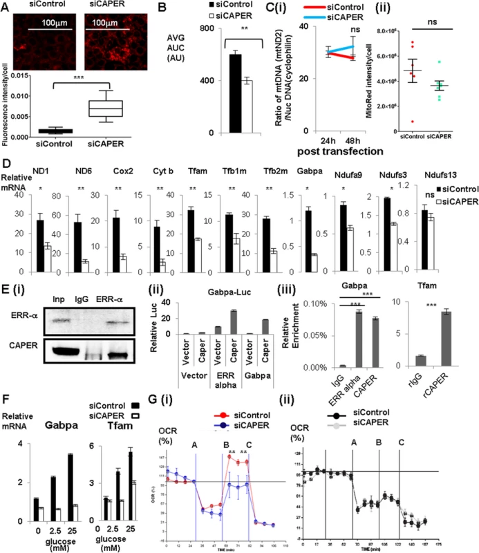 CAPER increases glucose-dependent mitochondrial respiration by regulating glucose-induced mitochondrial transcription via ERR α -Gabpa.