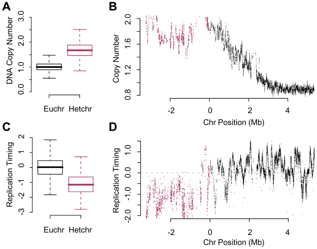 Re-replication is dependent on chromatin environment not time of replication.