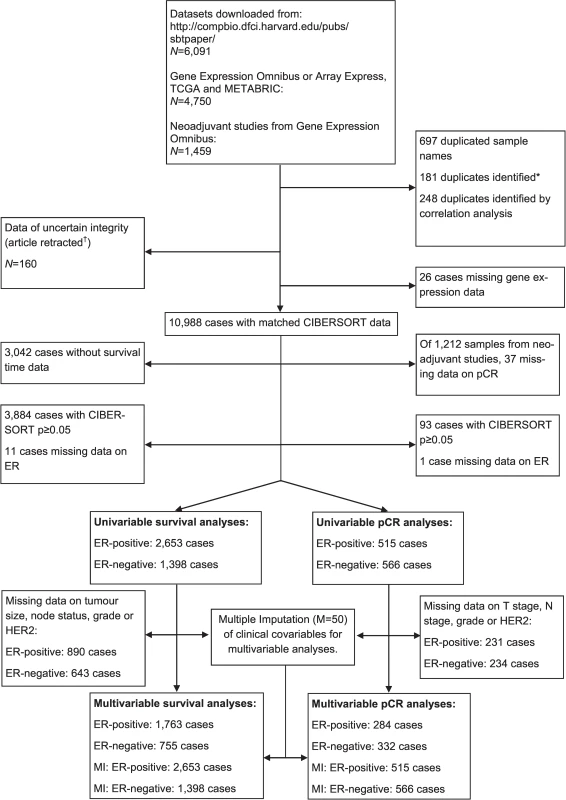 Study flowchart detailing the flow of samples at each stage of analysis.