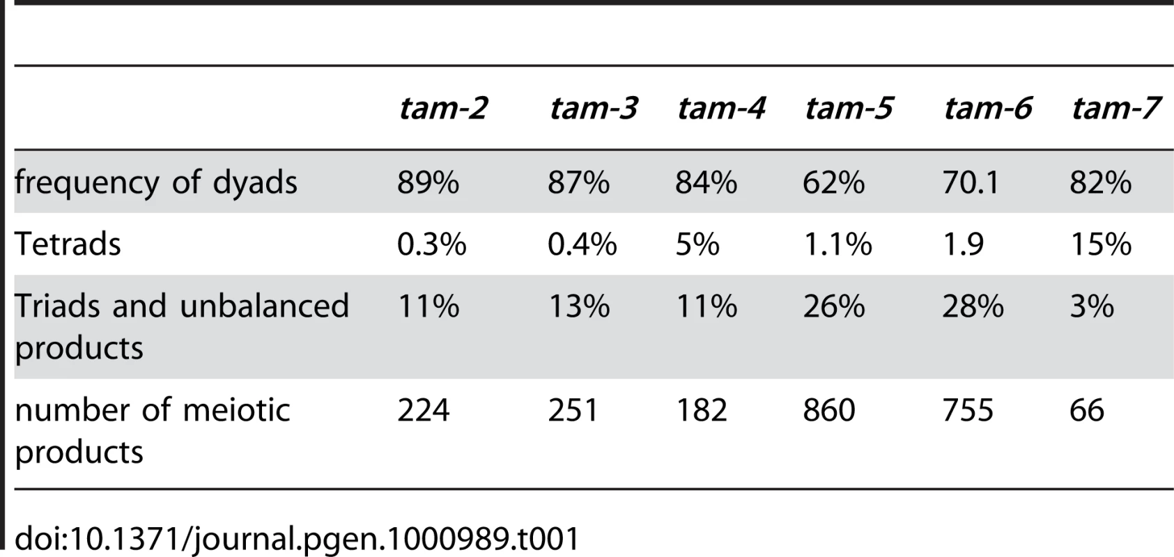 Male meiotic products in <i>tam</i> mutants.
