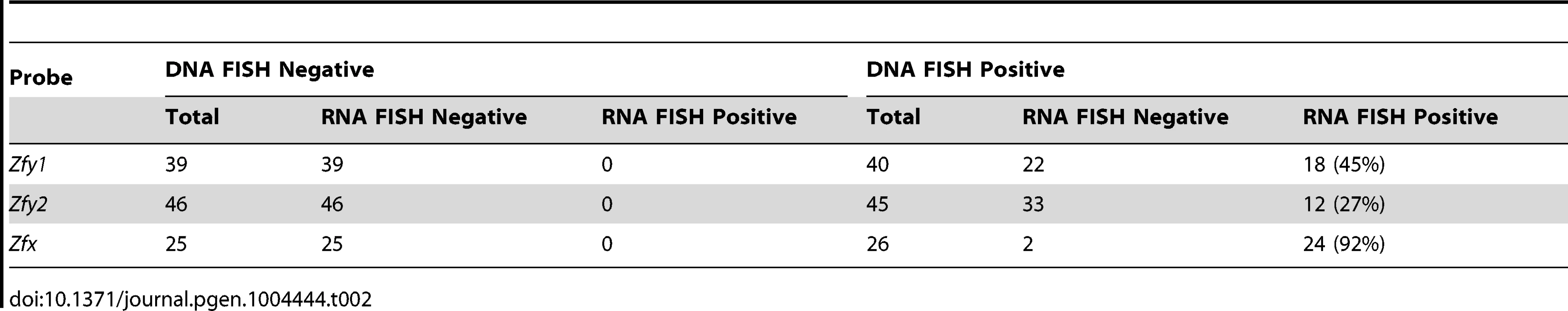 X and Y-linked ‘<i>Zf</i>’ gene expression by RNA-FISH in spread interphasic secondary spermatocytes from 6 week old XY male.
