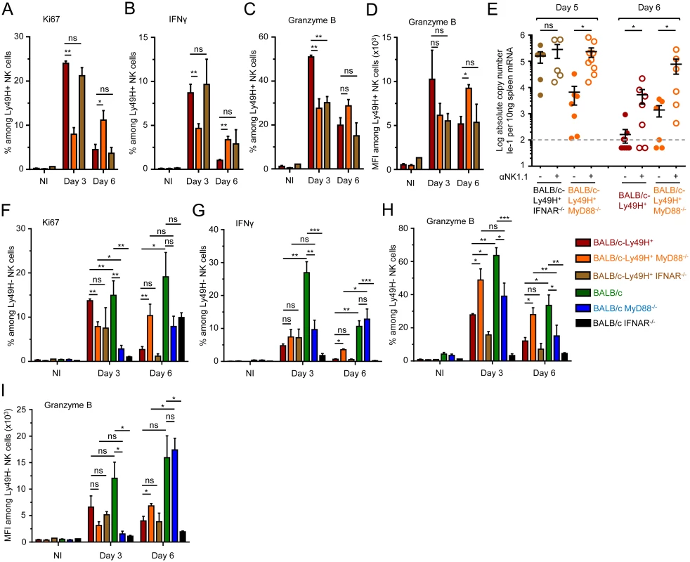 MyD88 deficiency does not completely abrogate NK cell-mediated protection.