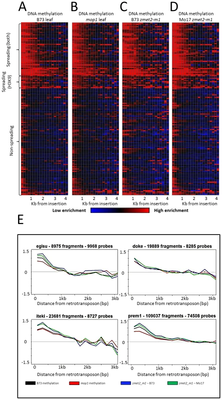 DNA methylation enrichment near retrotransposons is not affected by mop1 or zmet2-m1 mutations.