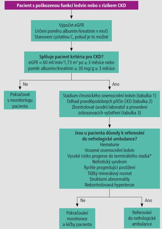 Úvodní diagnóza, stadia nemoci a léčba chronického onemocnění ledvin.