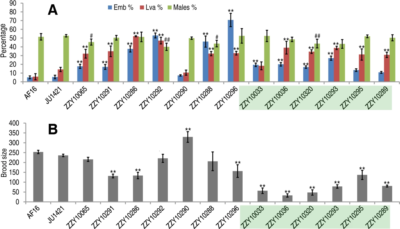 Hybrid incompatible phenotypes for the homozygous introgressions between <i>C. briggsae</i> and <i>C. nigoni</i>.