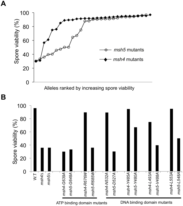 The Msh5 subunit is more sensitive to mutagenesis.