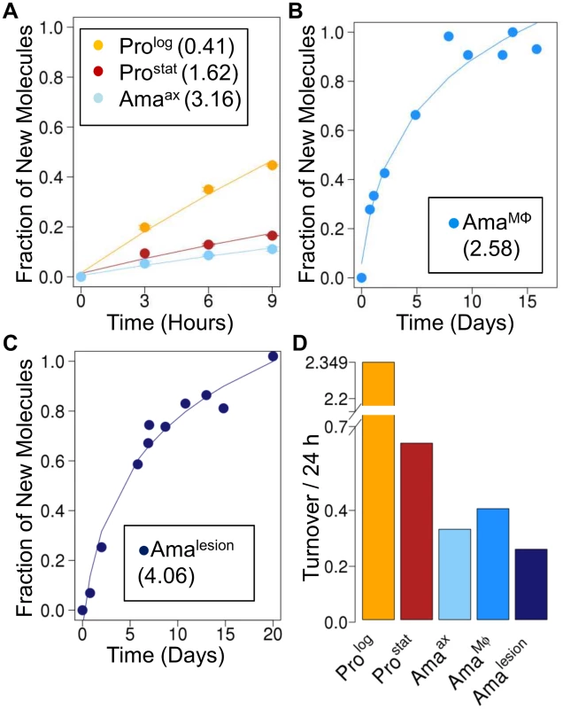 Rates of RNA turnover in cultured and intracellular <i>Leishmania</i> stages.