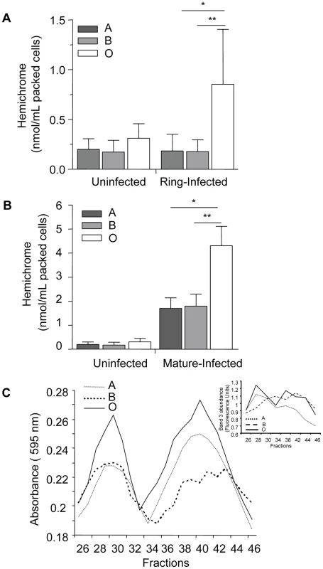 Hemichrome deposition and band 3 aggregation are increased in infected O erythrocytes.
