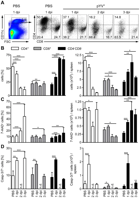 Analysis of DC subpopulations in mice infected with Ye.