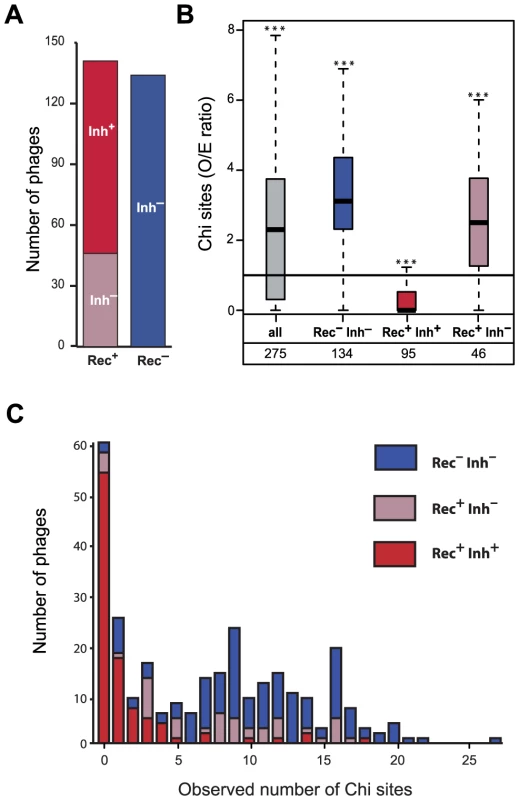 Association between the presence of phage recombination functions and the abundance of Chi sites.