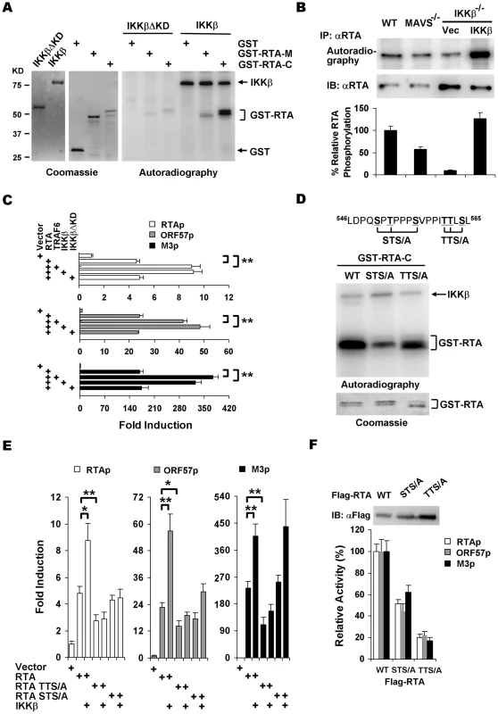 IKKβ phosphorylates and potentiates the transcription activity of γHV68 RTA.