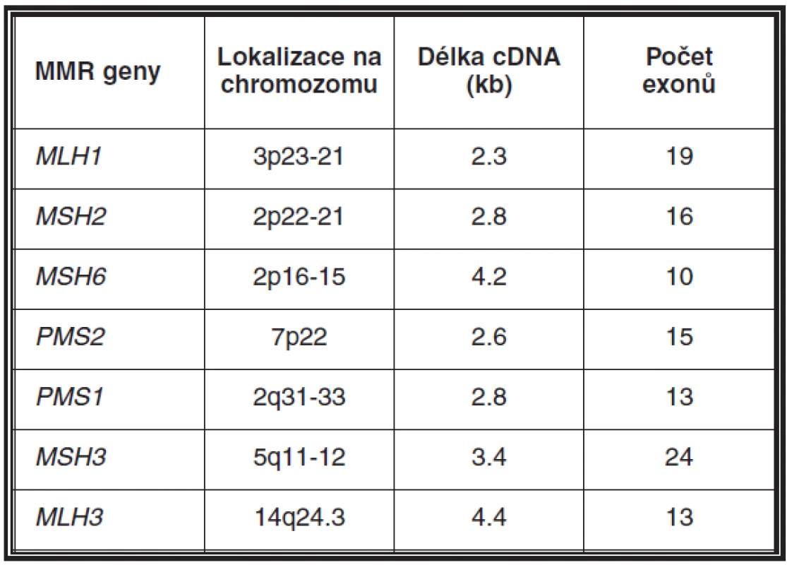Mismatch repair (MMR) geny a jejich charakteristika