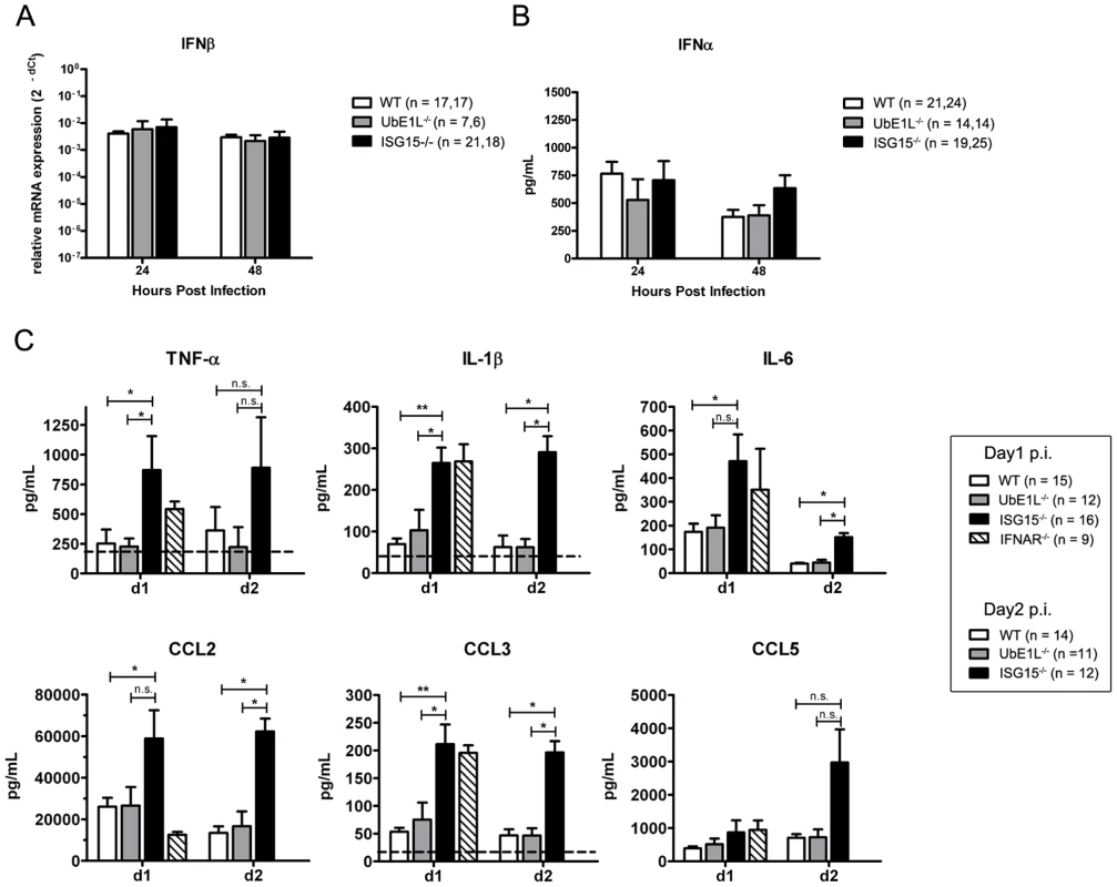 ISG15<sup>−/−</sup> neonates display elevated cytokine levels during CHIKV infection.