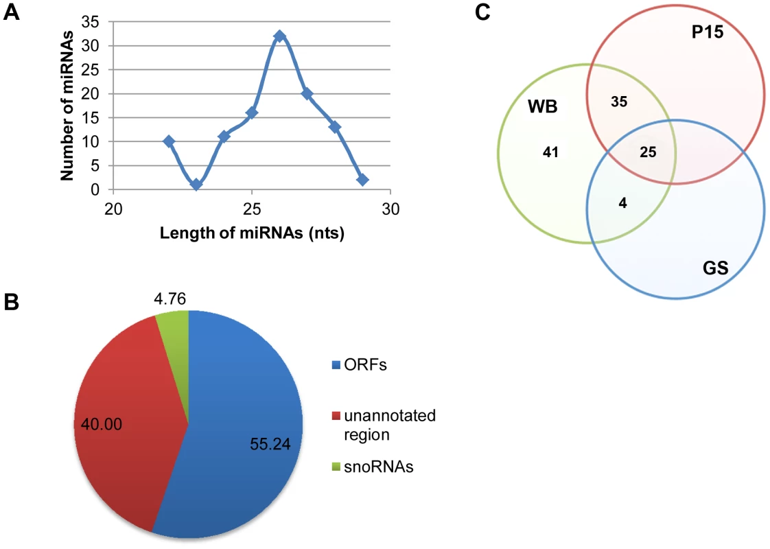 Analysis of potential miRNAs.