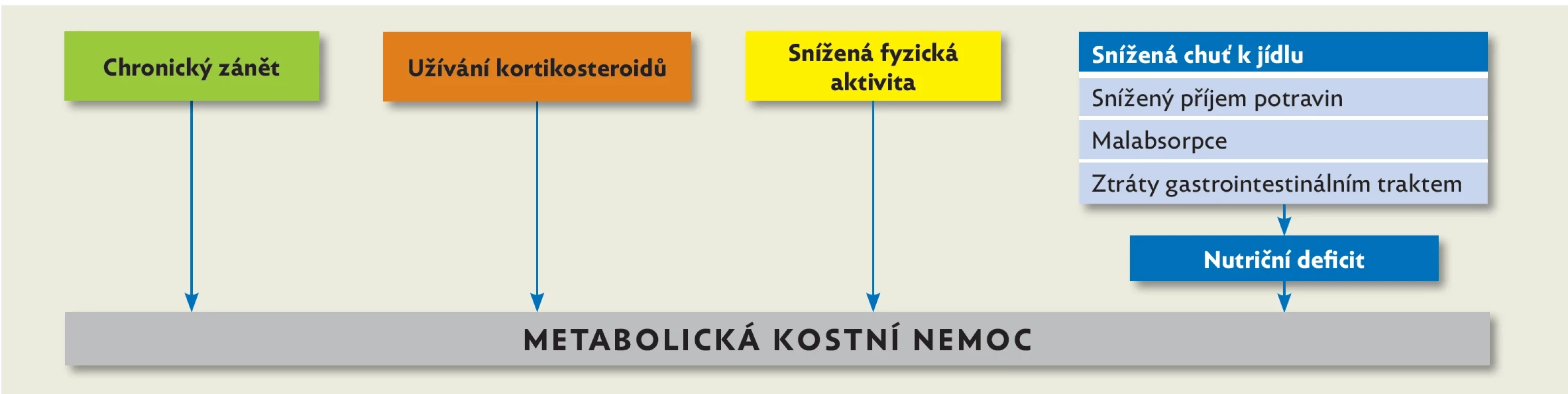 Patofyziologické mechanismy metabolické kostní nemoci u pacientů s nespecifickým střevním zánětem, upraveno podle(37)
