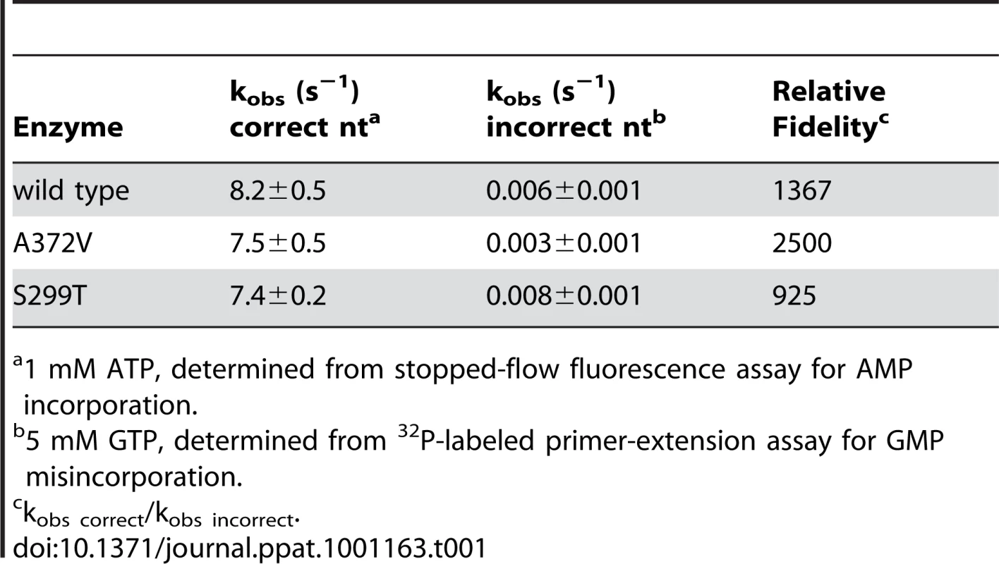 Incorporation kinetics and relative fidelity of CVB3 RdRp variants.