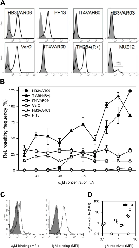 α<sub>2</sub>M binding in parasites not expressing HB3VAR06.