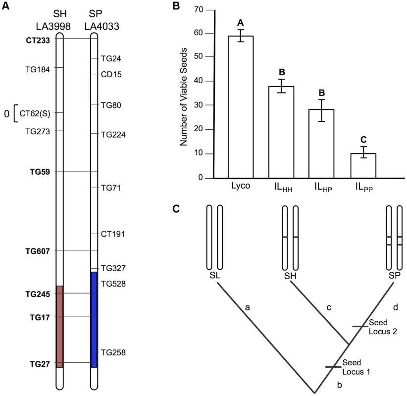 Test of allelism at seed sterility locus <i>sss1.2</i>.