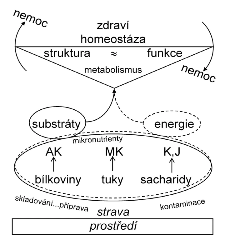 Obecný vztah mezi výživou a zdravím/nemocí. 
AK – aminokyseliny, 
MK – mastné kyseliny, 
K –komplexní sacharidy, 
J – jednoduché sacharidy.
Hlavní živiny – bílkoviny, tuky a sacharidy a mikronutrienty poskytují substrát a energii pro metabolismus. Za biologicky normálních podmínek existuje rovnováha mezi strukturou a funkcí (homeostaze). Výchylky v této rovnováze, které jsou vyvolány absolutními či relativními změnami v množství a poměrech, ale i kvalitě složek stravy, mohou vést k zhoršení či poruše metabolismu a nemoci



