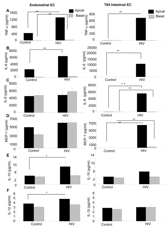 Primary endometrial EC and T84 intestinal monolayers were exposed to HIV-1 (ADA, 10<sup>6</sup> infectious viral units/ml, p24 280ng/ml) and apical and basolateral supernatants were collected 24 hours post-exposure and assayed by Luminex multi-analyte kit for the following cytokines: (A) TNF-α (B) IL-6, (C) IL-8, (D) MCP-1, (E) IL-10, (F) IL-1β.