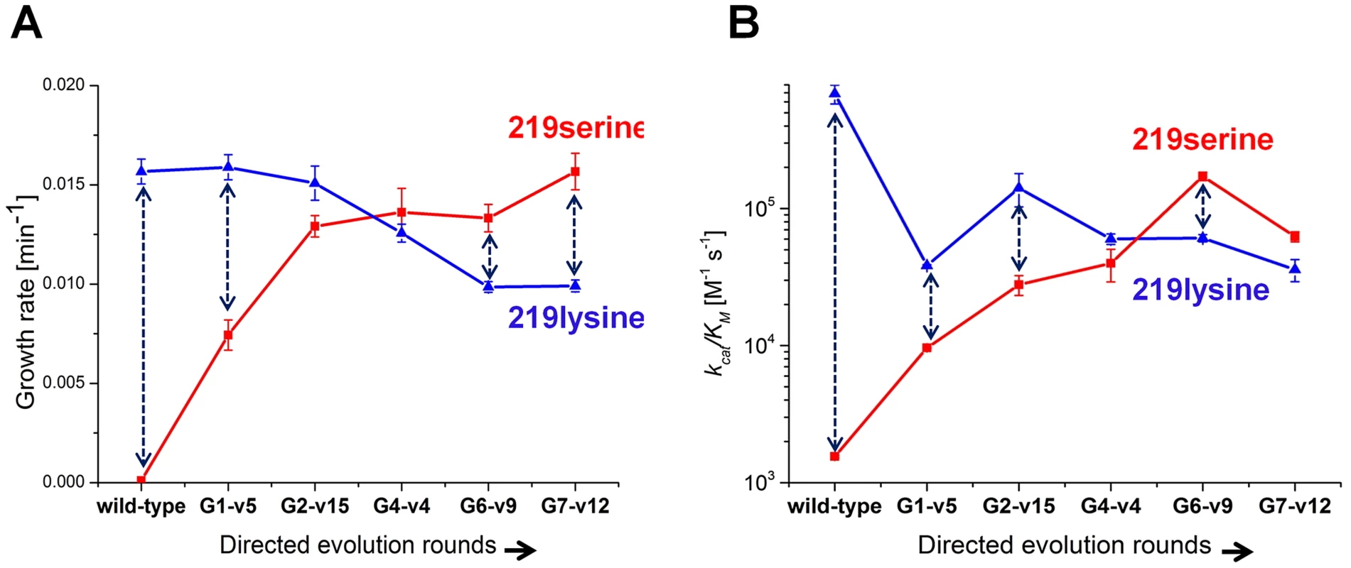 Growth rates and catalytic efficiencies of the evolved variants.