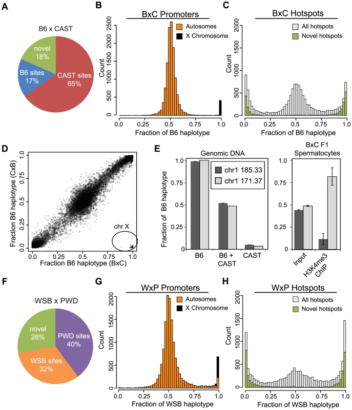 Novel hotspots have biased H3K4me3 modification.