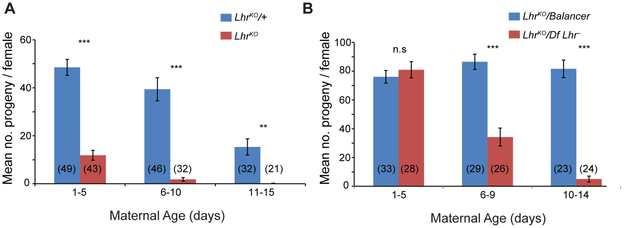<i>Lhr</i> mutant females have reduced fertility.