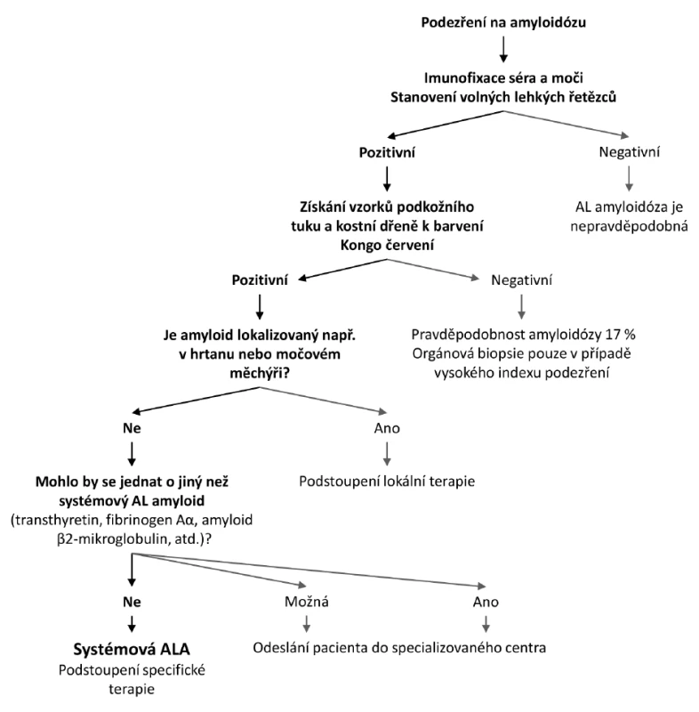 Diagnostický postup při rozpoznání AL amyloidózy <em>(modifikace dle Gertze, 2011)</em>