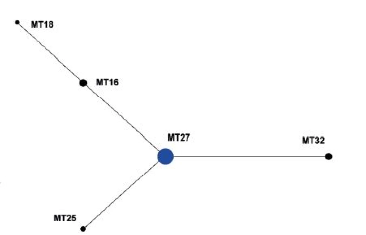Diagram eBURST, MLVA analýza kmenů <i>B. pertussis,</i> ČR, 2008–2015 (červen)
Figure 4. eBURST diagram, MLVA analysis of <i>B. pertussis</i> strain collection, Czech Republic, 2008–2015 (June)
