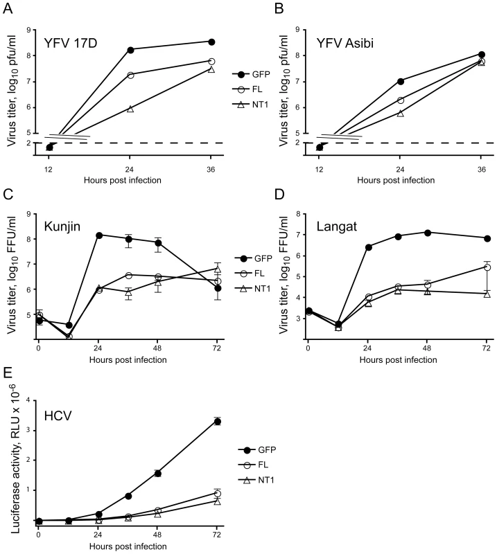 DNAJC14 inhibits multiple members of the <i>Flaviviridae</i> family.
