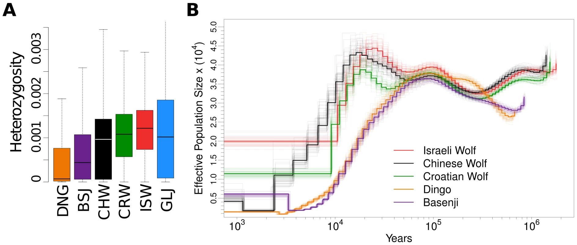 Heterozygosity and historical changes in effective population size.