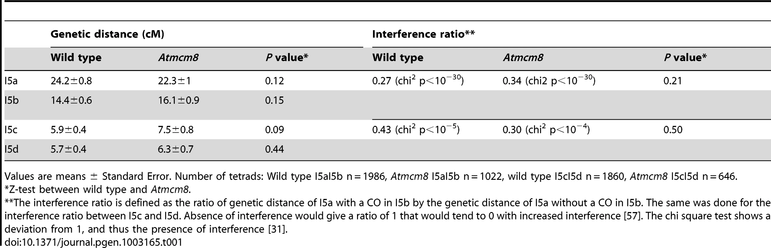 Genetic distances and interference in <i>Atmcm8</i> using FTLs.