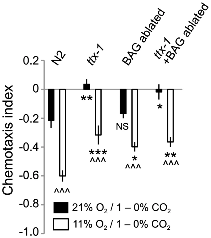 Ambient O<sub>2</sub> can modulate CO<sub>2</sub> avoidance in animals lacking BAG and AFD CO<sub>2</sub> sensors.