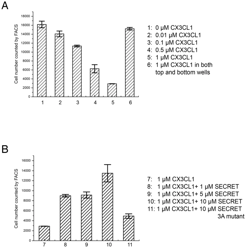 CX3CL1-induced migration of RAW 264.7 cells.