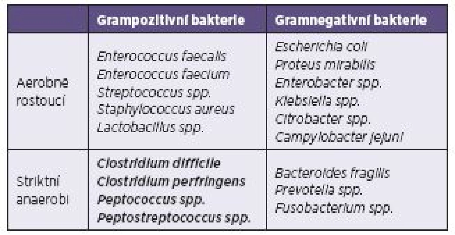 Nejvýznamnější kultivovatelní zástupci fyziologické mikroflóry tlustého střeva
Table 1. The most important culturable representatives of the physiological flora of the large intestine