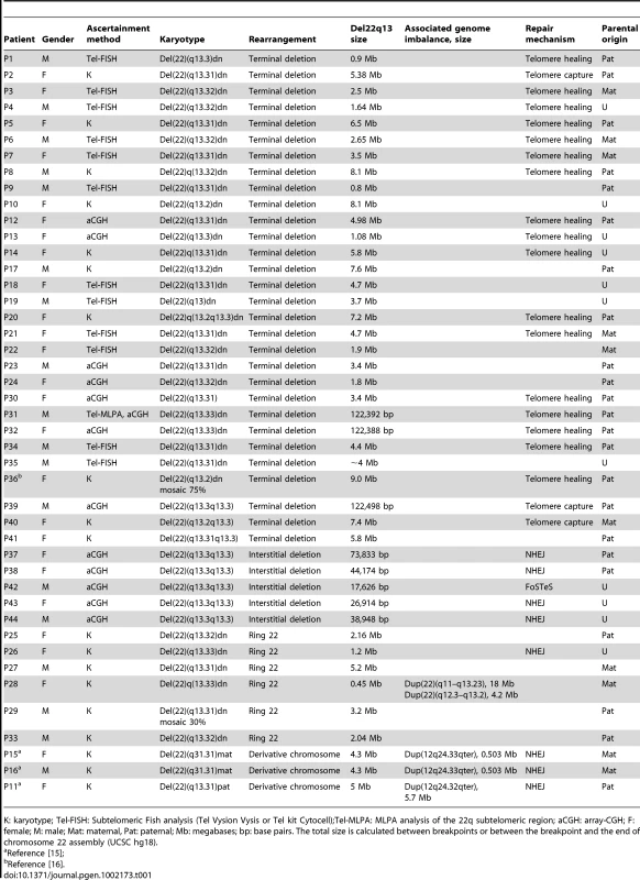 Description of the rearrangements in 44 subjects with 22q13 deletions.