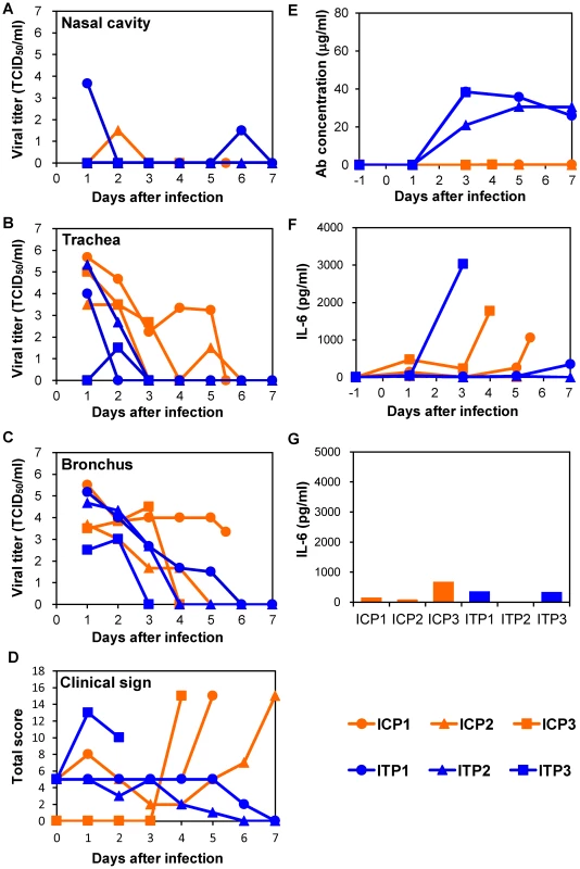 Protection of immunocompromised macaques treated with MAb ch61 and peramivir from VN3040 infection.