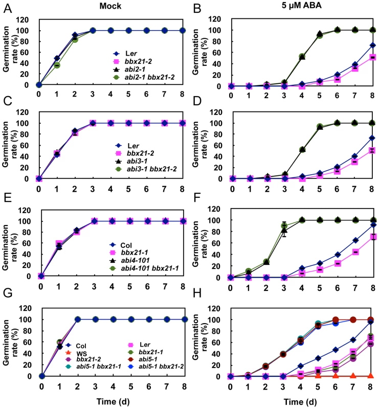 Germination rates of <i>bbx21, ab</i>i and <i>abi bbx21</i> mutants.