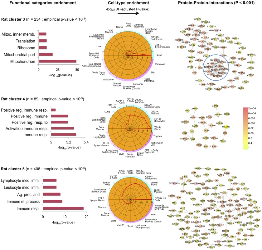 Co-expression clusters identified in all rat tissues.