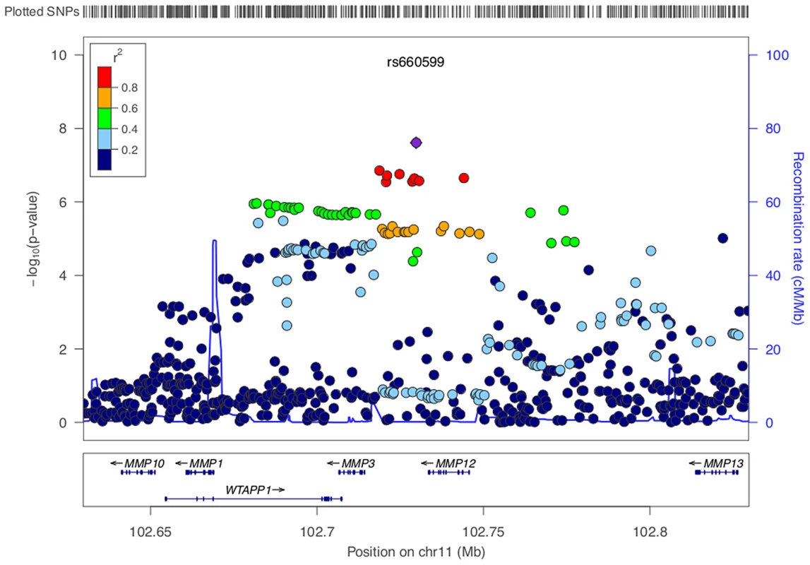LocusZoom plot of <i>MMP12</i> association using age-at-onset informed approach.