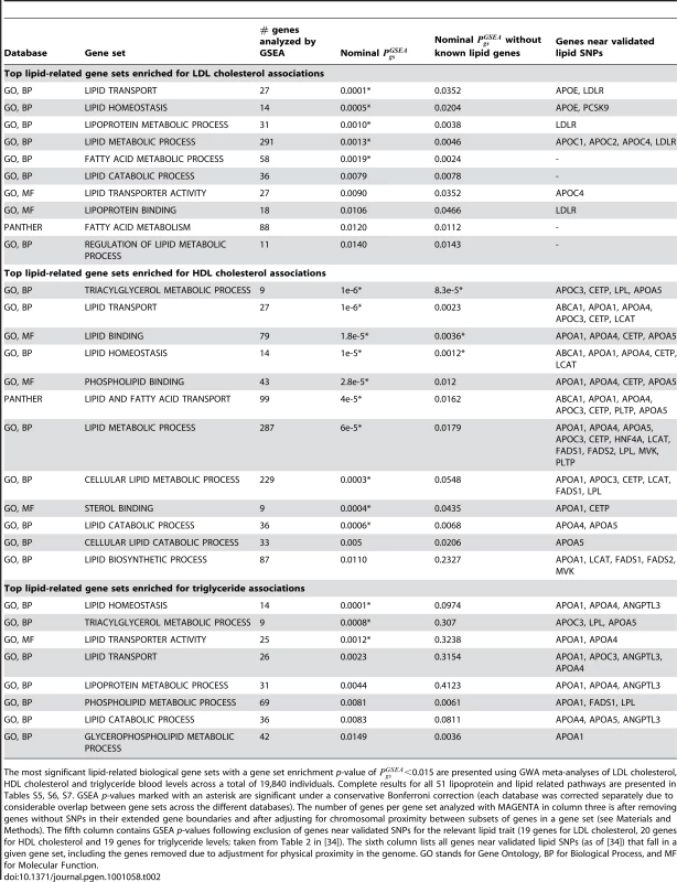Top GSEA results for lipid-related pathways using LDL cholesterol, HDL cholesterol, and triglyceride GWA meta-analyses.