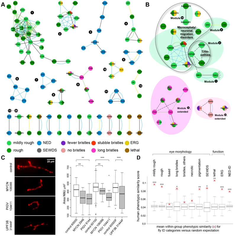 ID modules, proof of predictive value and phenotype coherence across evolution.