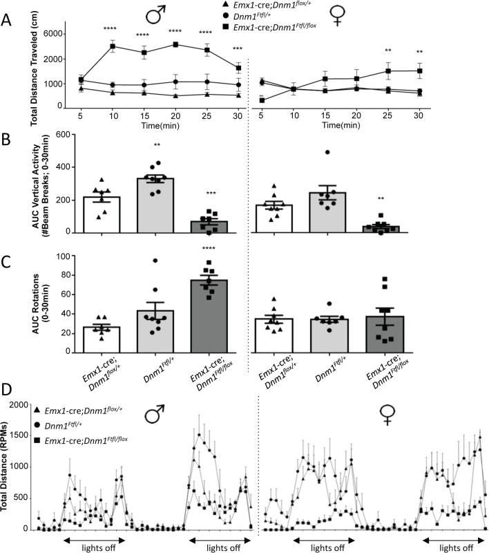 <i>Emx1</i>-cre;<i>Dnm1</i><sup><i>Ftfl/flox</i></sup> mice demonstrate hyperactivity, stereotypical and altered activity.