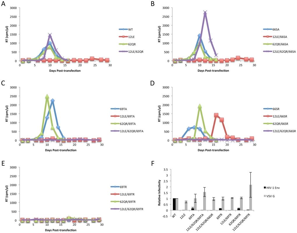 Replication of S66 and T69 mutants in Jurkat cells.